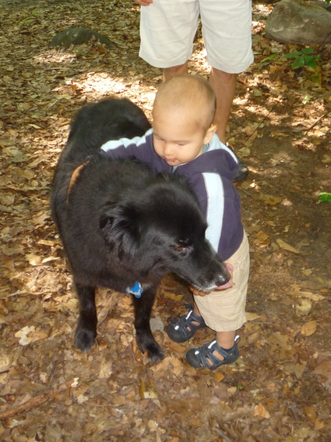 Photo: Dogs and Kids are a Natural Mix