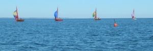 Photo: A Parade of Spinnakers