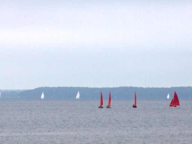 Photo: OMDAites Weren't the Only Sailors Out Racing